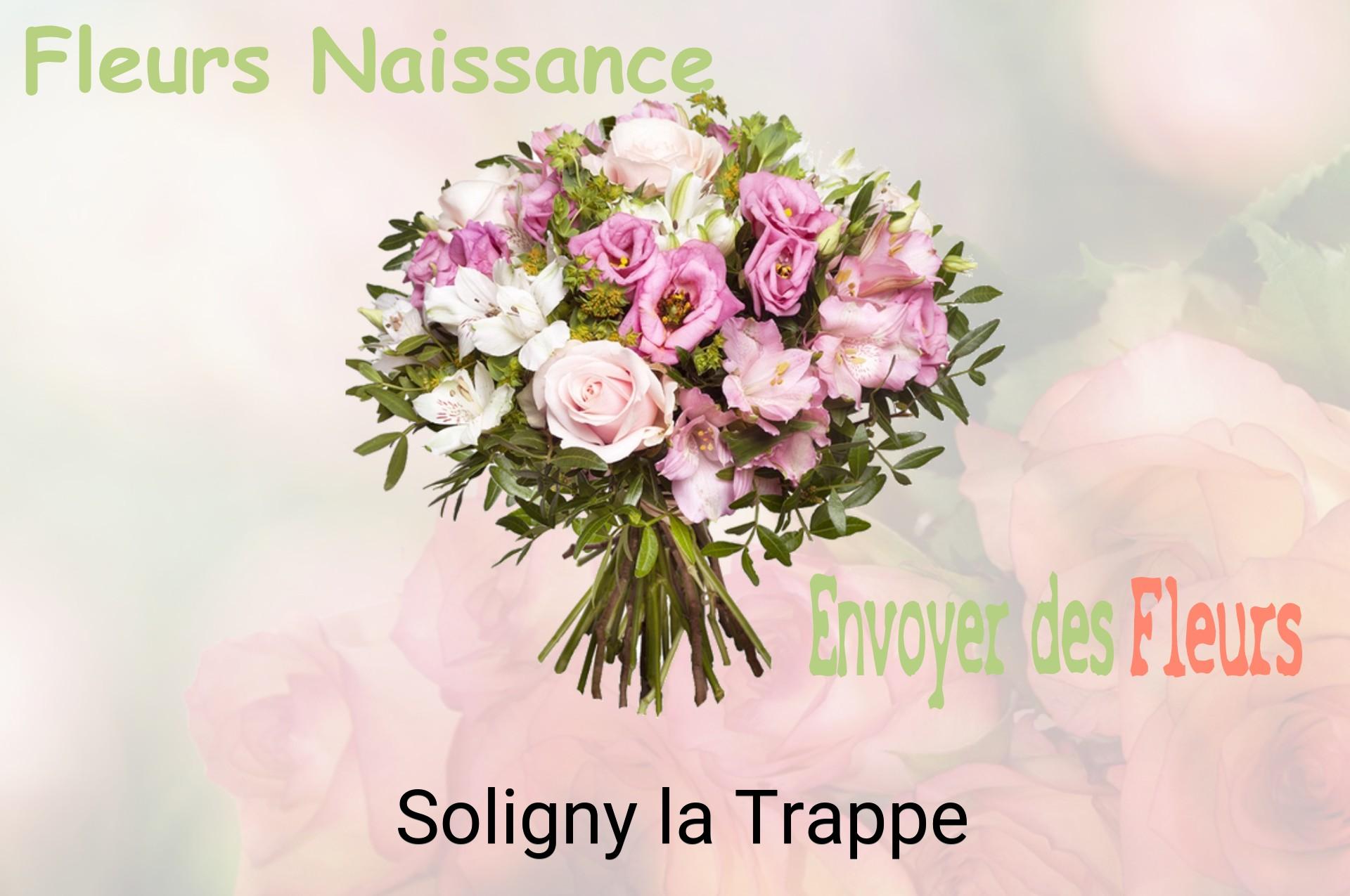 Bouquet de fleurs de naissance livré à Soligny-la-Trappe