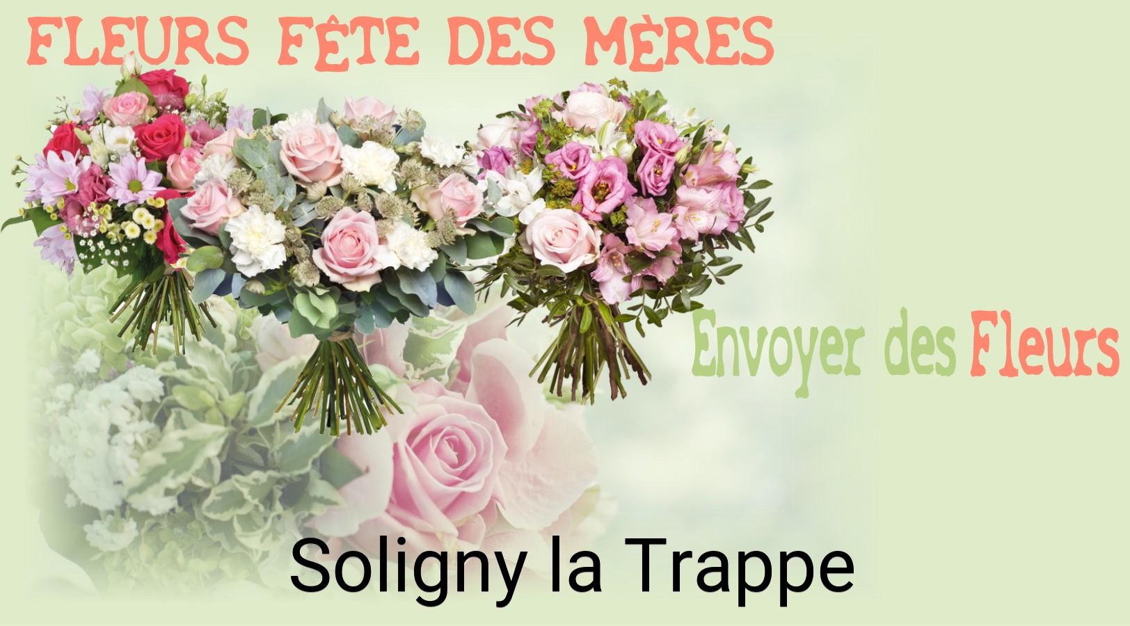 Bouquet de Fête des Mères livré à Soligny-la-Trappe